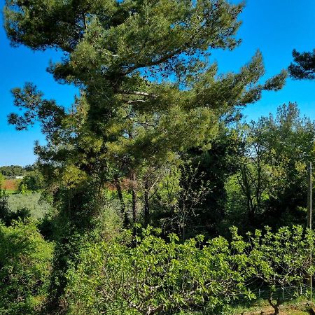 Appartement Juli No 2 à Poreč Extérieur photo